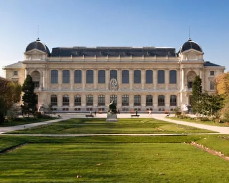 Priceless Golden Specimens Stolen in Daring Robbery at France's National Institution